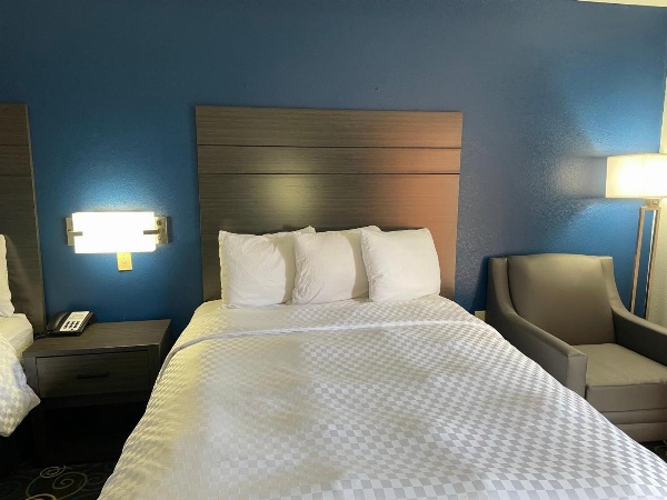 Clairmont Inn & Suites - Warren image 11
